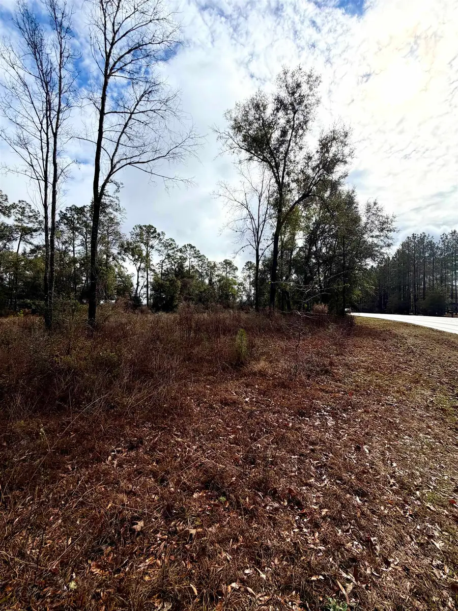 XX East Ivan Road, Crawfordville, FL 32327 - Image #3