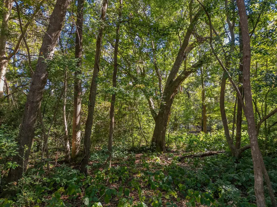 0 Lake Iamonia Drive, Tallahassee, FL 32312 - Image #2