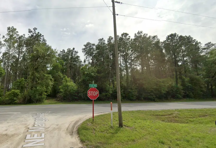 Vacant NE Us Hwy 90, Lee, FL 32059 - #3