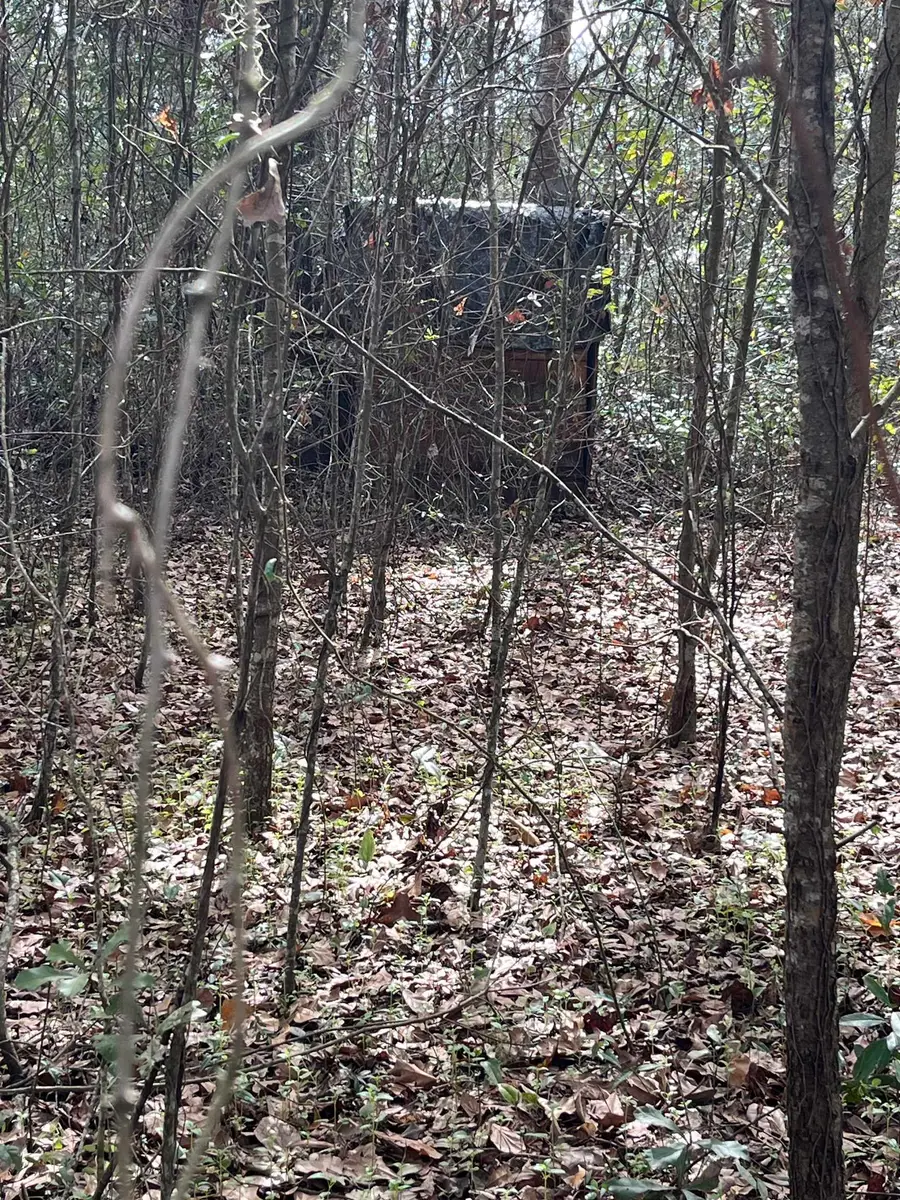 50 E Pinhook Road, Monticello, FL 32344 - Image #2