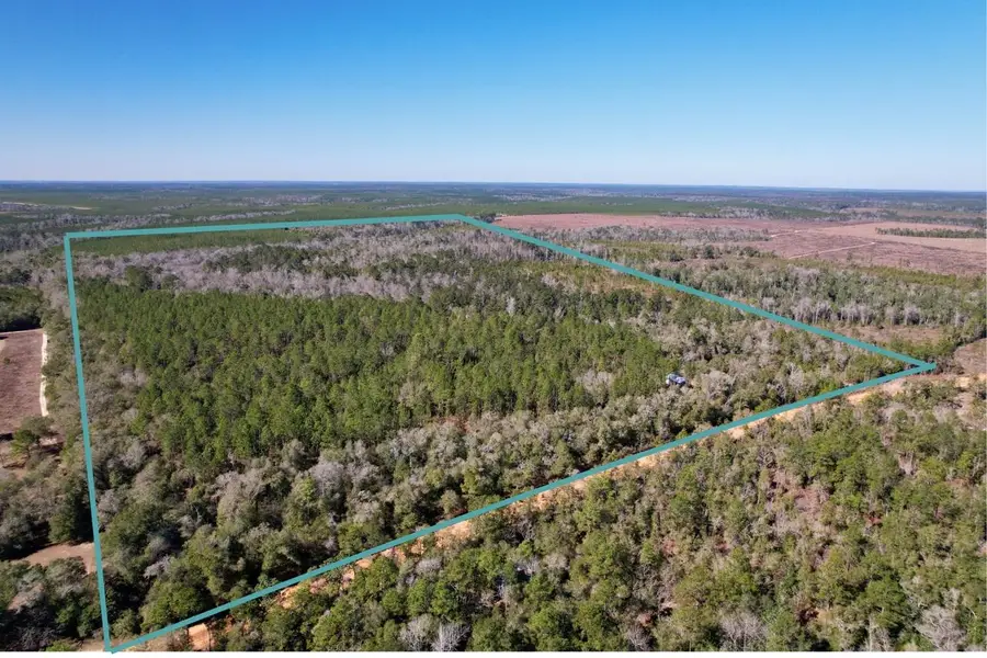 910 Boykin Road, Quincy, FL 32351 - Image #2