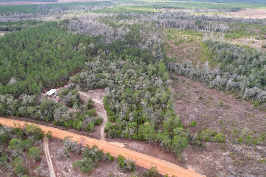 910 Boykin Road, Quincy, FL 32351 - Image #3