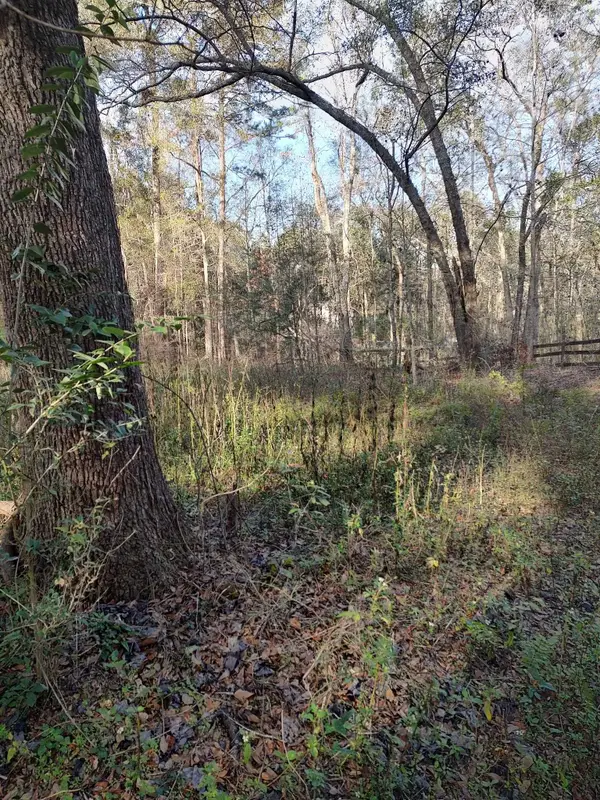 0 Megans Lane #Unplatted land, Tallahassee, FL 32309