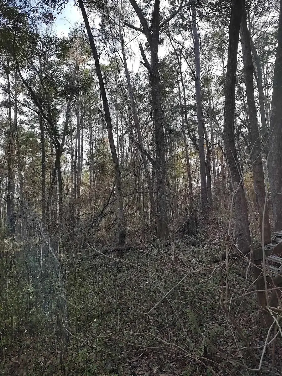 0 Megans Lane #Unplatted land, Tallahassee, FL 32309 - Image #2