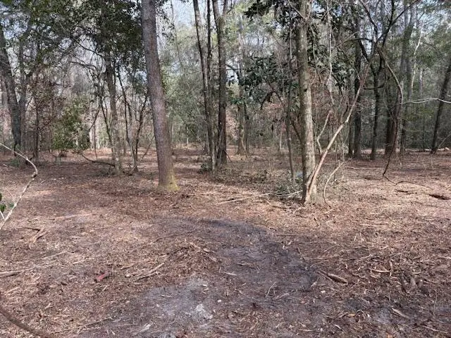 XX Tharpe Lane, Crawfordville, FL 32327 - Image #1