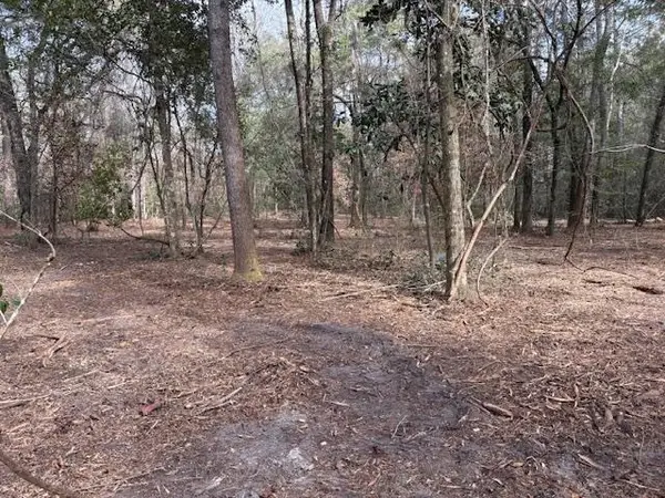 XX Tharpe Lane, Crawfordville, FL 32327