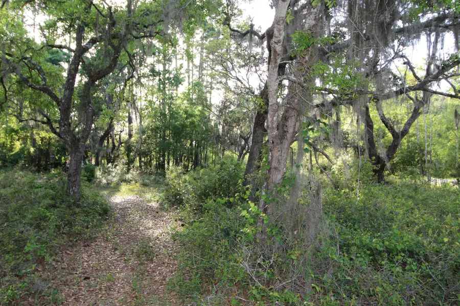 Lots 6-7 Bottoms Road, Panacea, FL 32346 - #2