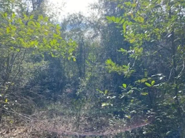 2619 W Oak Ridge Road, Tallahassee, FL 32305 - #2