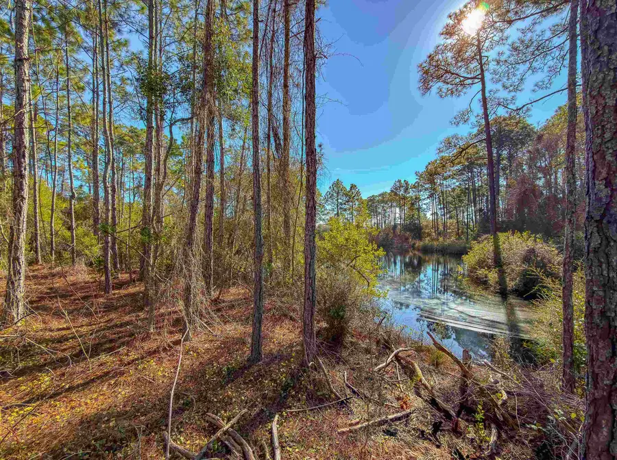 120 Bay Magnolia, Carrabelle, FL 32322 - Image #2