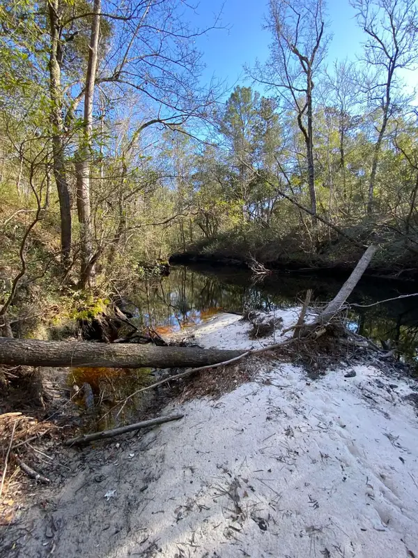 Fonigan Road, Sopchoppy, FL 32358