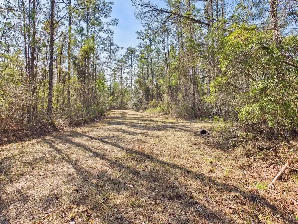 Lot 81 SW Oregon Trail, Greenville, FL 32331 - #1