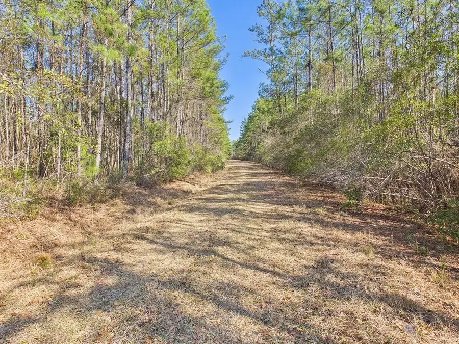 Lot 81 SW Oregon Trail, Greenville, FL 32331 - #3