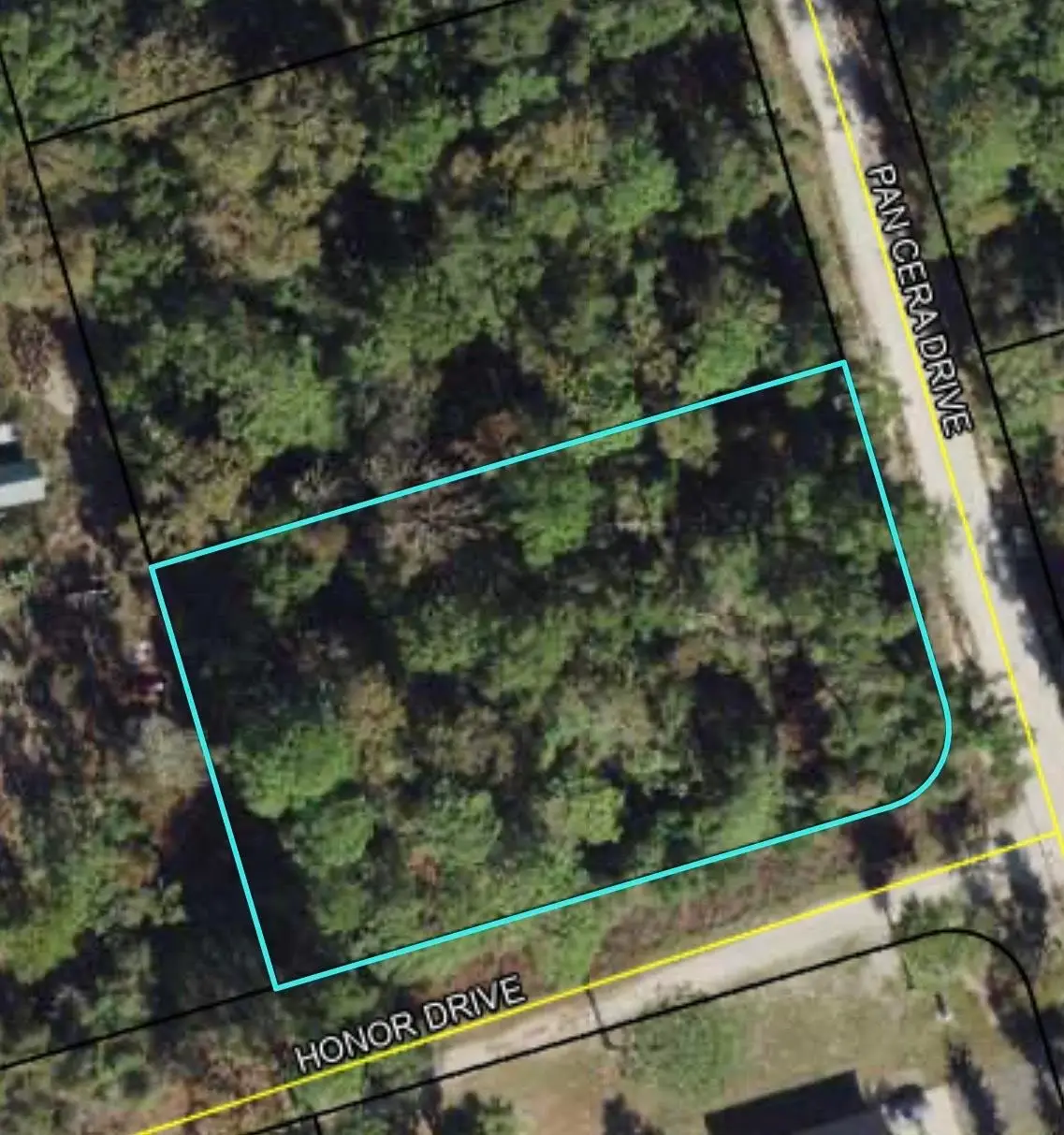 Pan Cera Drive, Crawfordville, FL 32327 - Image #1