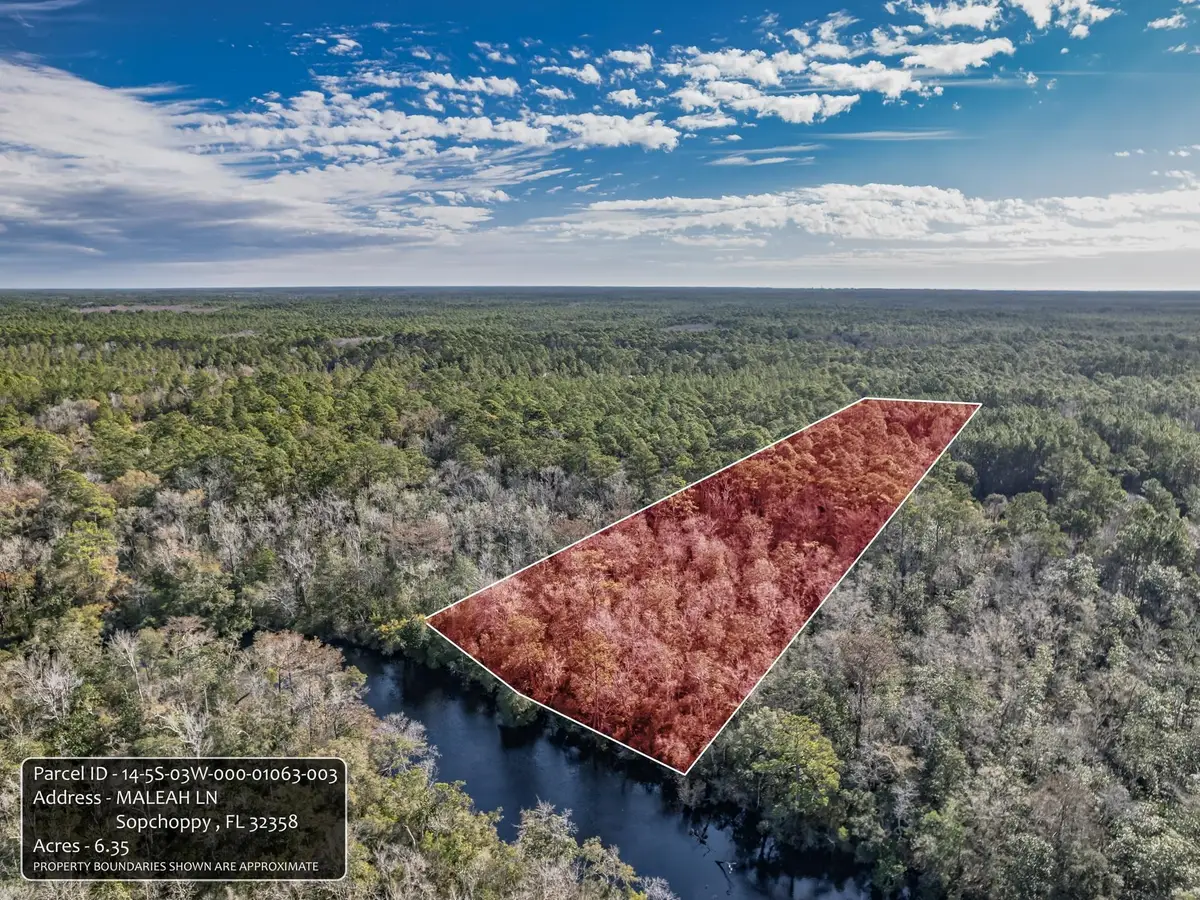 XXX Maleah Lane, Sopchoppy, FL 32358 - #1