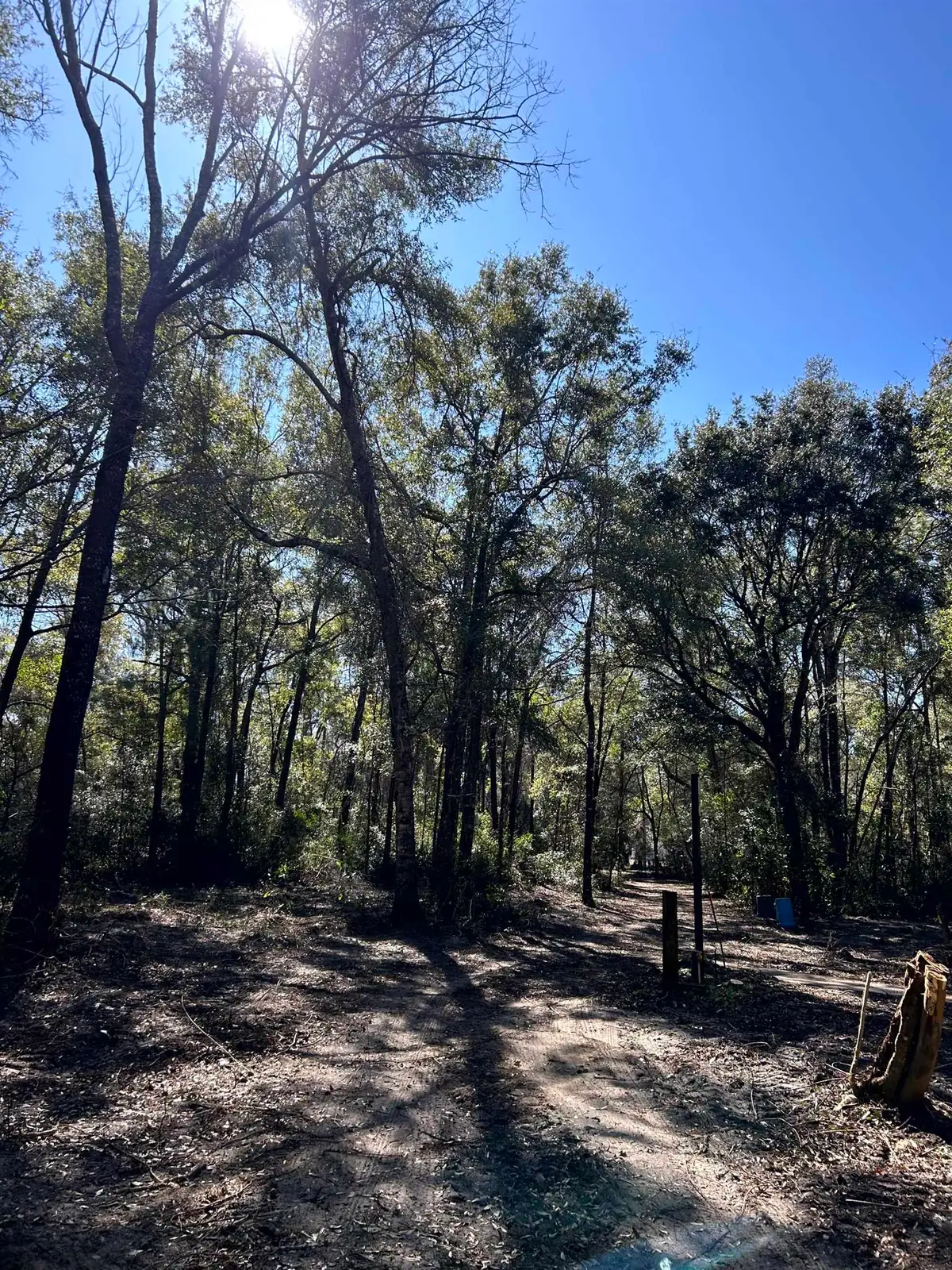 26 Rosewood Road, Crawfordville, FL 32327 - Image #1