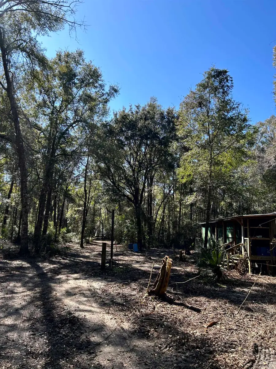 26 Rosewood Road, Crawfordville, FL 32327 - Image #2