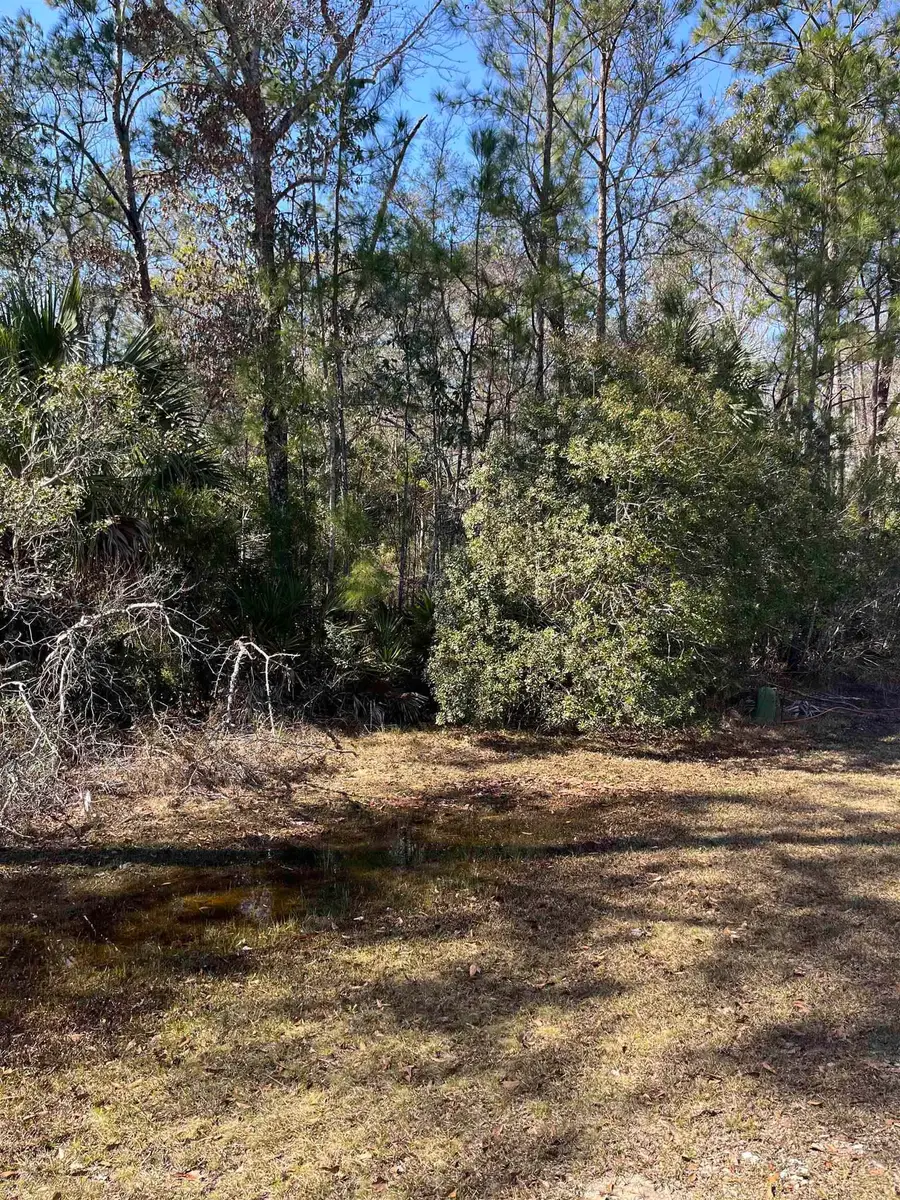 xx Burnt Pine Loop, Saint Marks, FL 32355 - #2