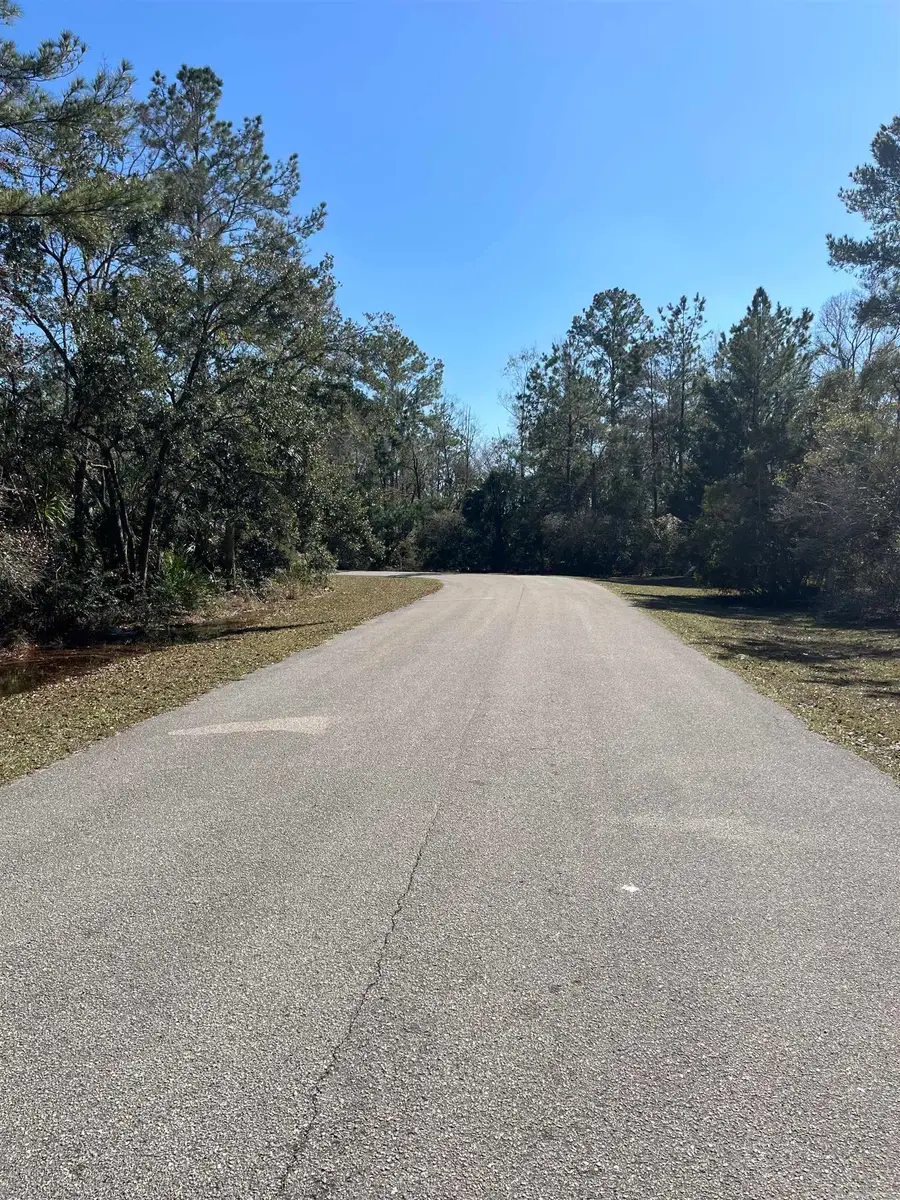 xx Burnt Pine Loop, Saint Marks, FL 32355 - #3