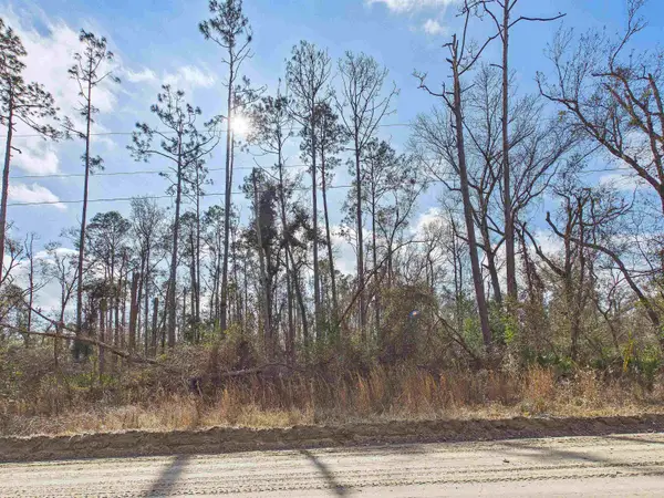 Vacant NE River Park Road, Lee, FL 32059