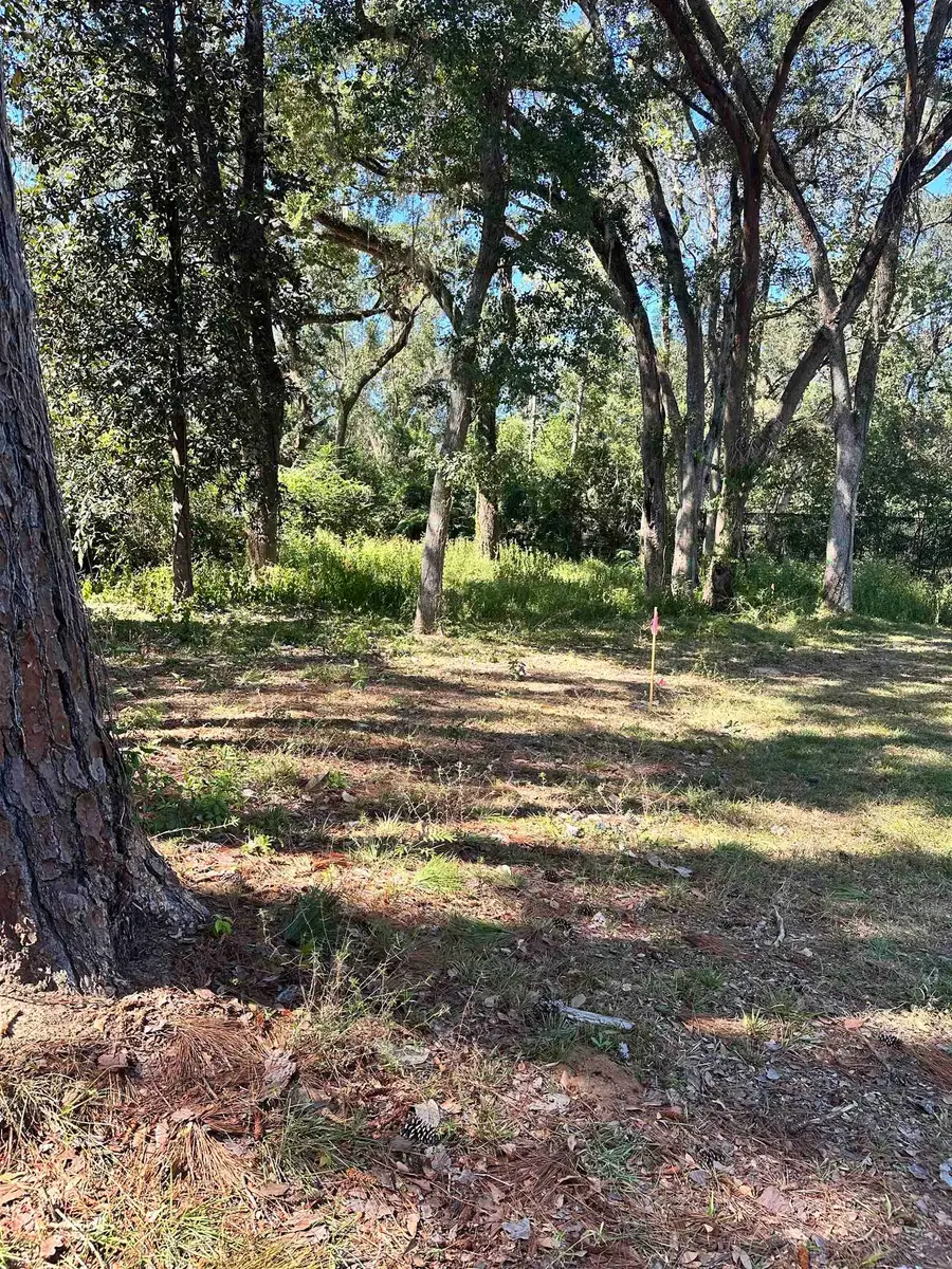 xxx Trescott Drive, Tallahassee, FL 32308 - #3