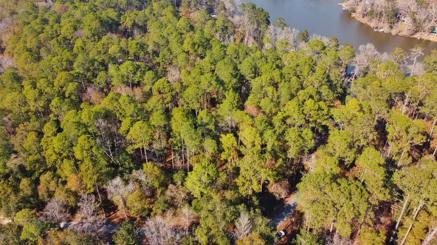 xxx Tallavana Trail, Havana, FL 32333 - #2