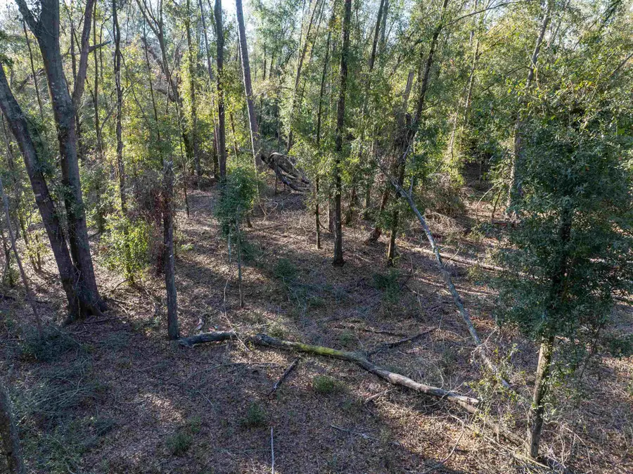 Vacant 193rd Road, Live Oak, FL 32060 - #3