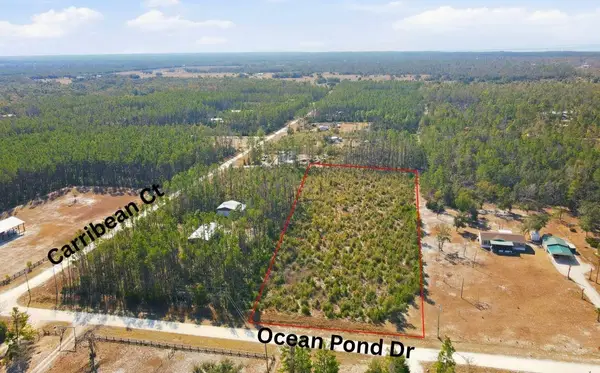 TBD Ocean Pond Drive, Perry, FL 32348