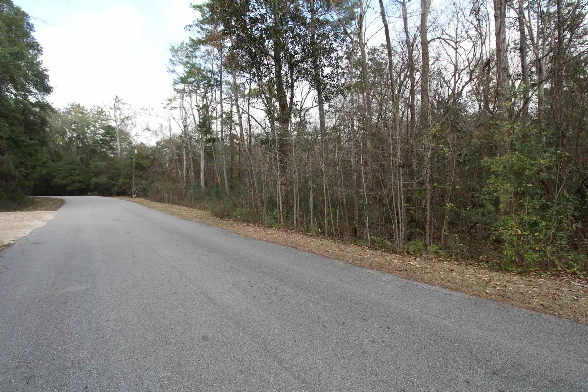 Lot 11 Block D River Plantation Road, Crawfordville, FL 32327 - #1