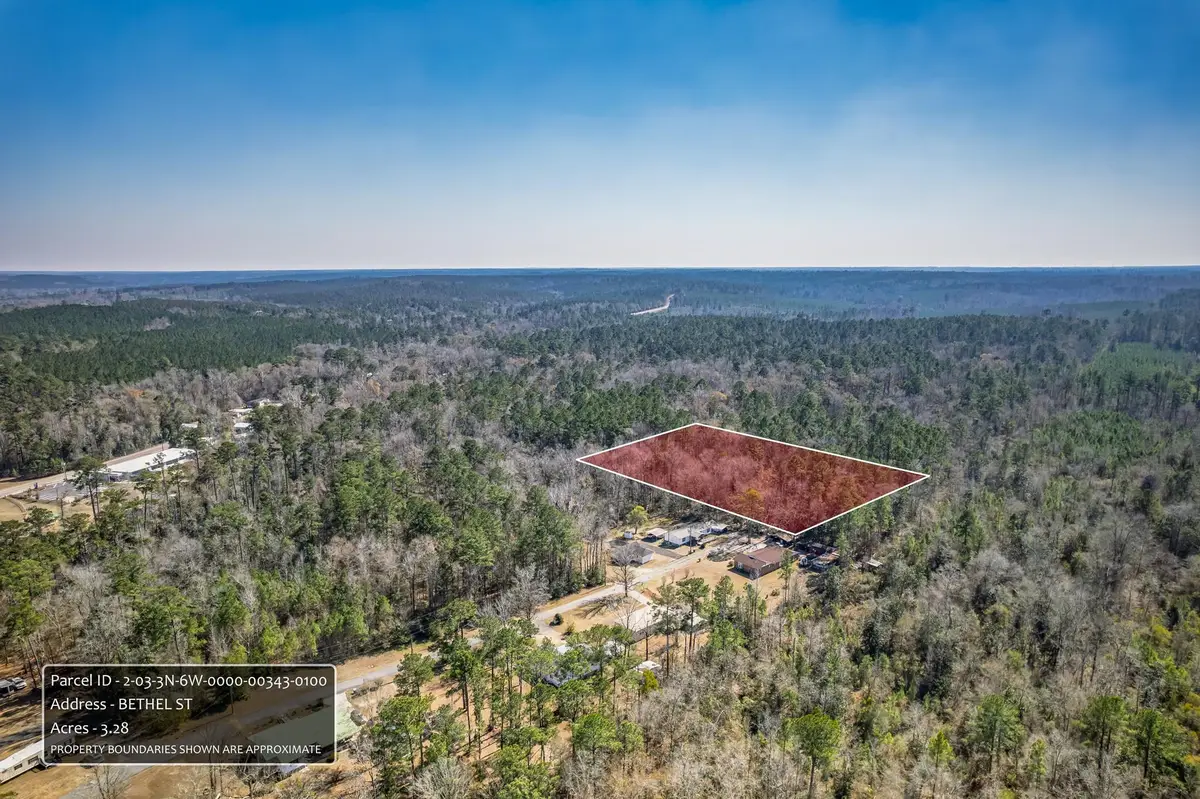 xx Bethel Street, Chattahoochee, FL 32324 - #1