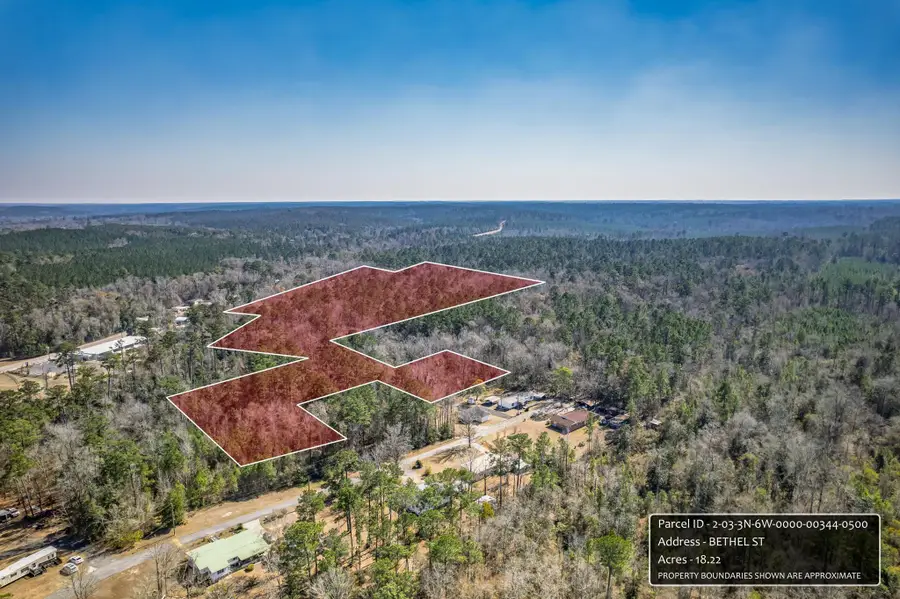 xxx Bethel Street, Chattahoochee, FL 32324 - #2