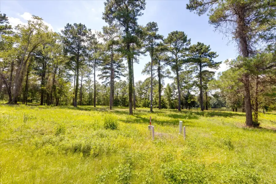 205 Stillwater Lane, Havana, FL 32333 - #2