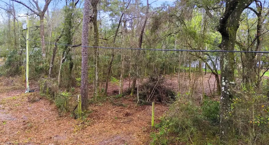 Stanley Drive, West Wakulla, FL 32327 - #2