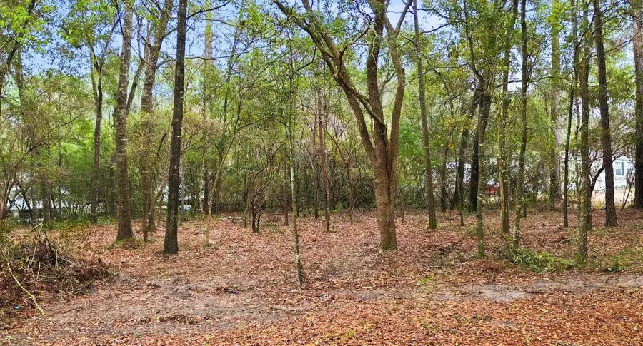 TBD Lot 28 John David Drive, West Wakulla, FL 32327 - #2