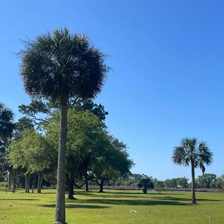 XX Kornegay Way, Crawfordville, FL 32327 - #3