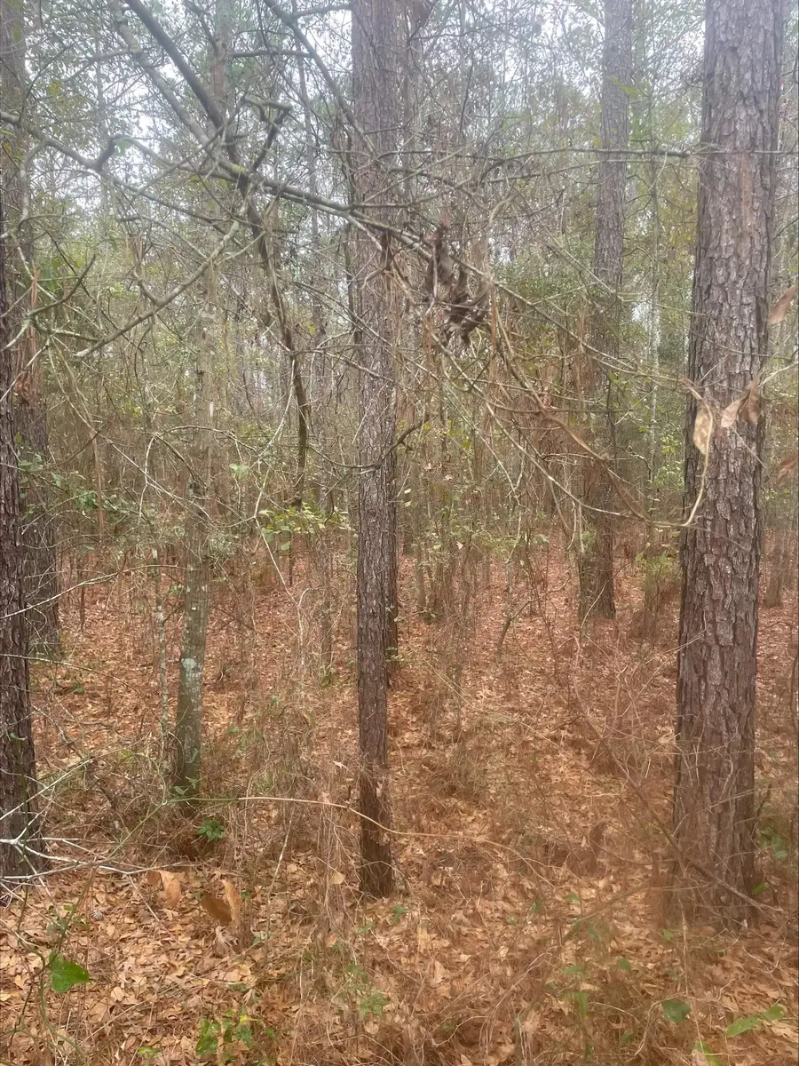 0 111 Highway, Calvary, FL 39828 - #2