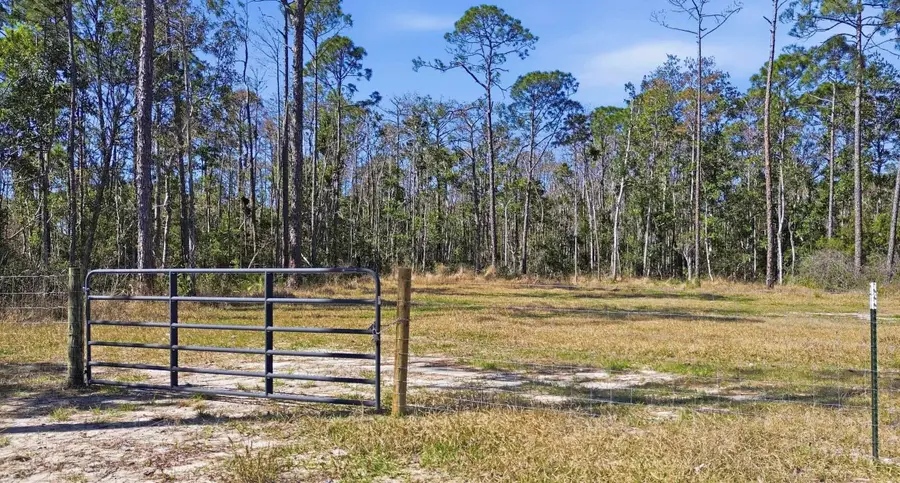 TBD Jody Morgan Road, Perry South, FL 32348 - #3