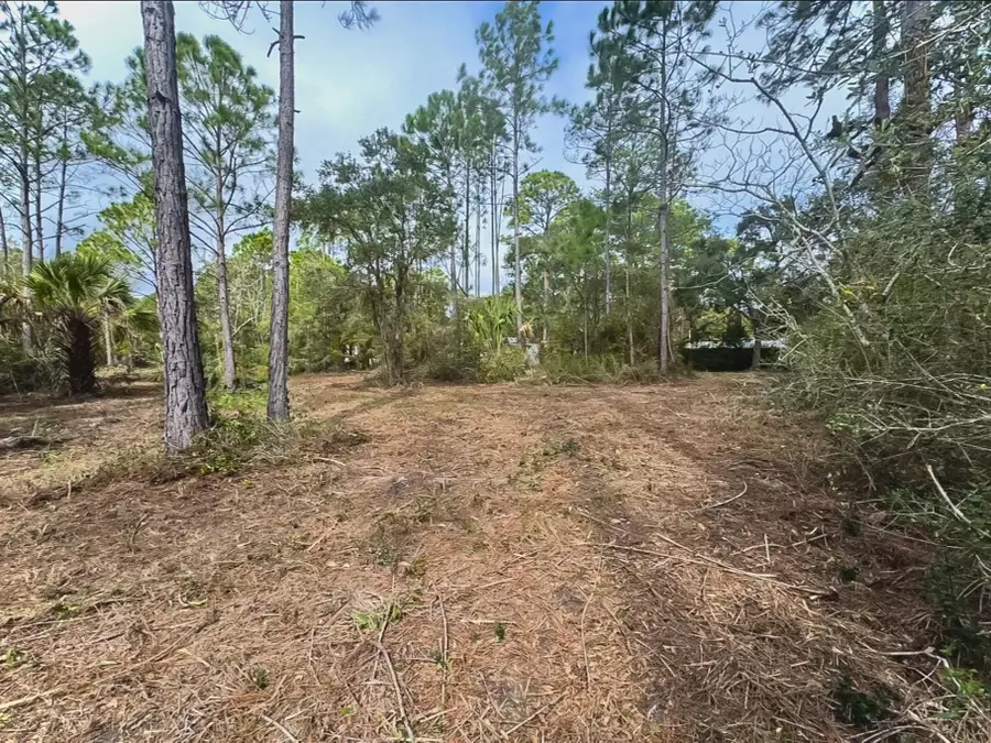Lot 3 Chattahoochee Street, Panacea, FL 32346 - #3