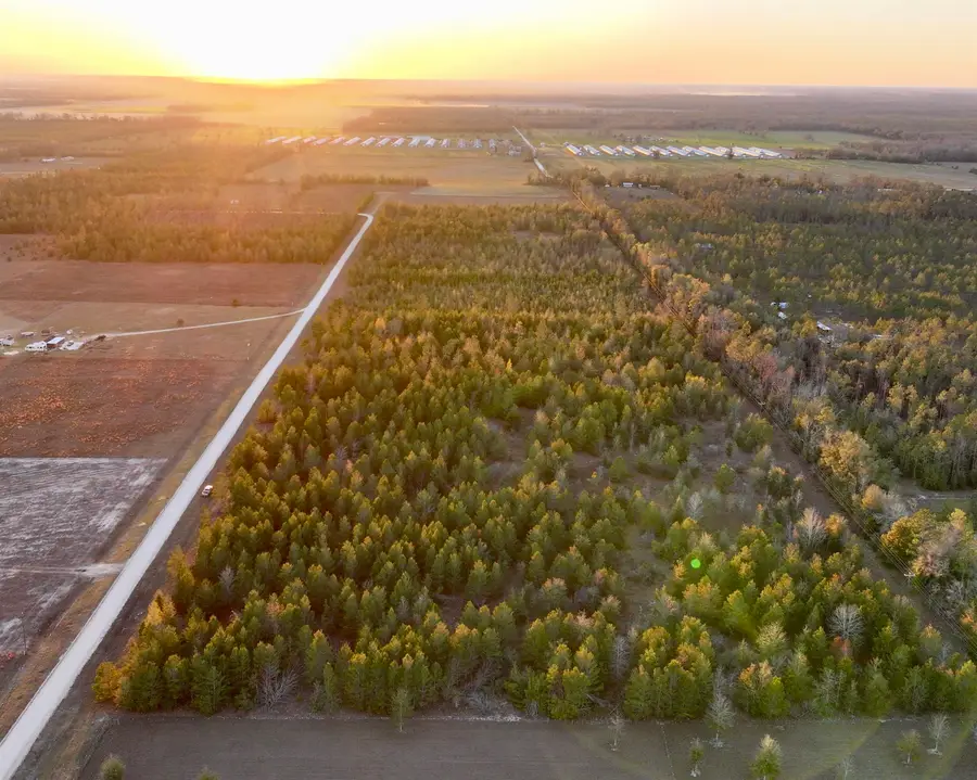 0000 NE Loblolly Trail, Lee, FL 32059 - #2