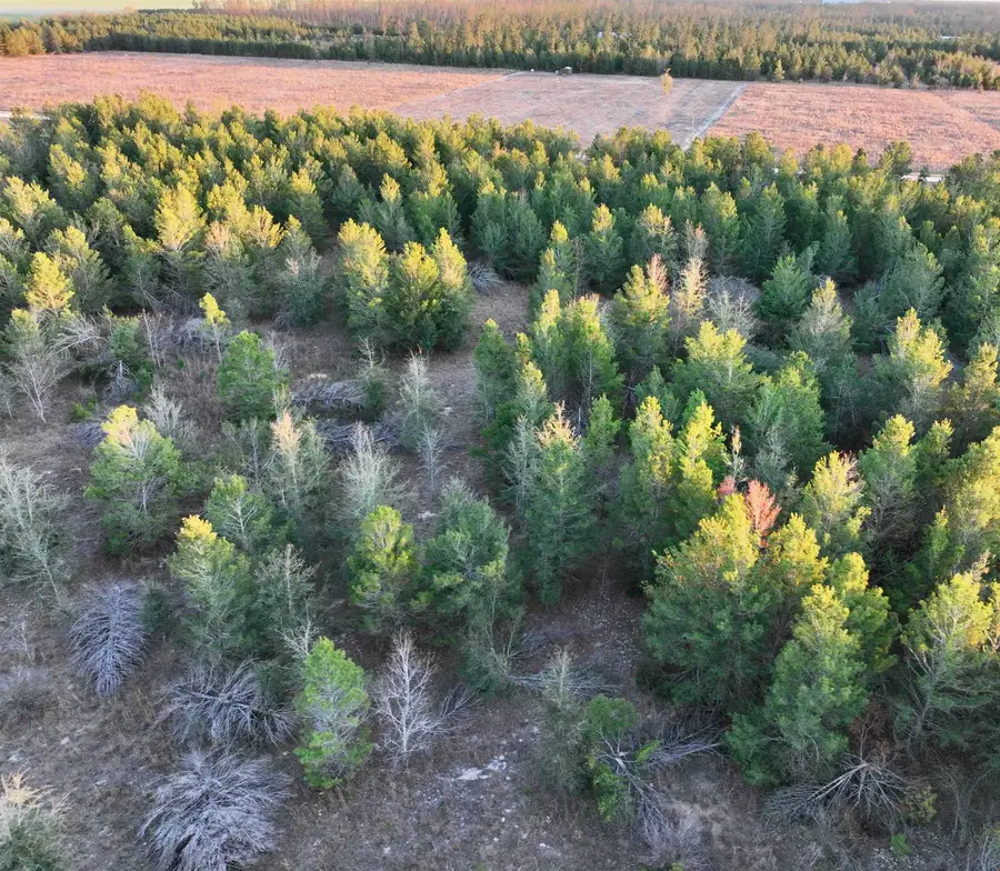 0000 NE Loblolly Trail, Lee, FL 32059 - #3