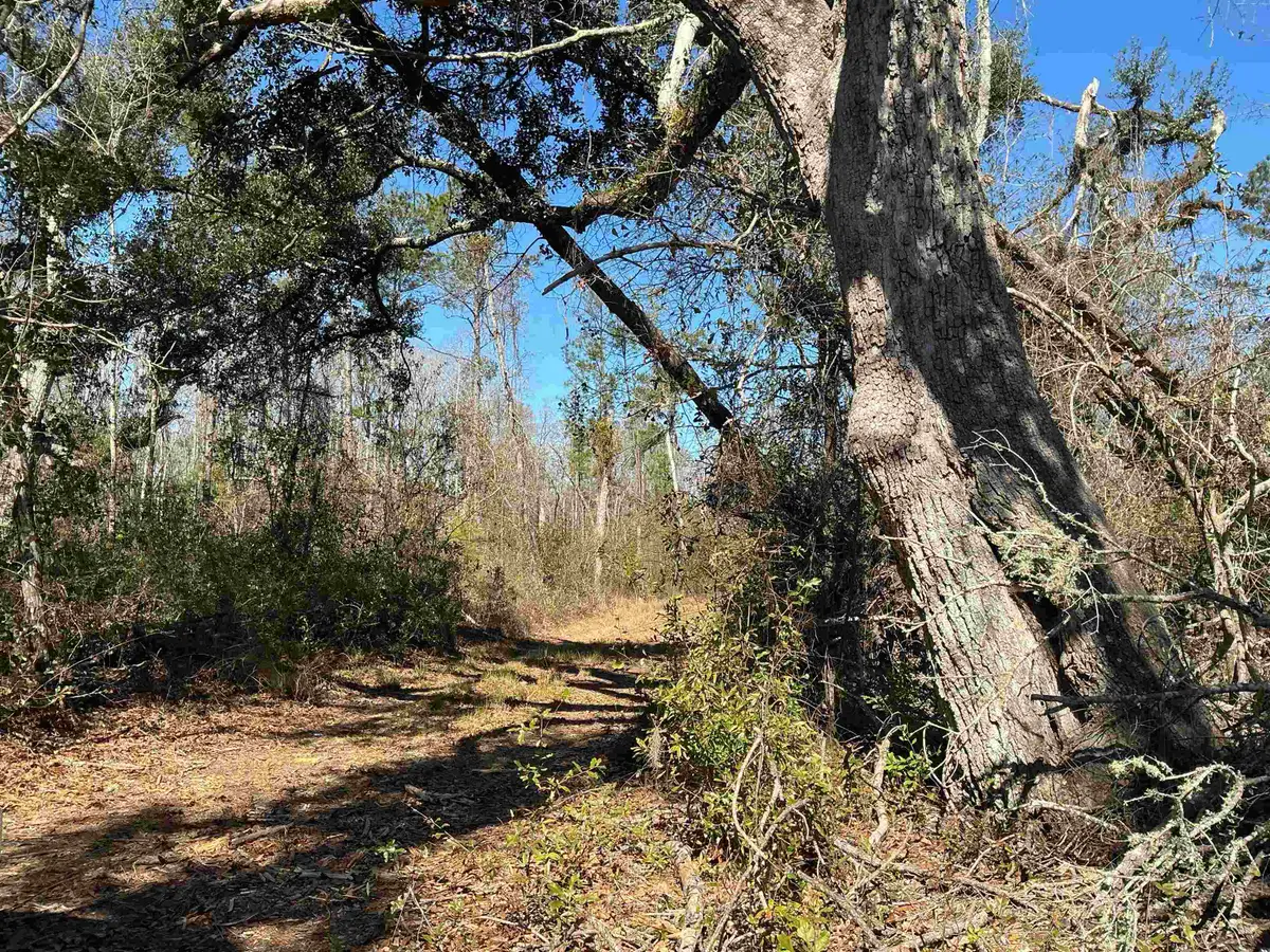 TBD SW Cow Road, Madison, FL 32340 - #1