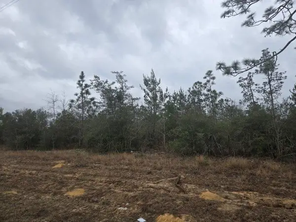 0000 NW Cr 274 Road, Altha, FL 32421