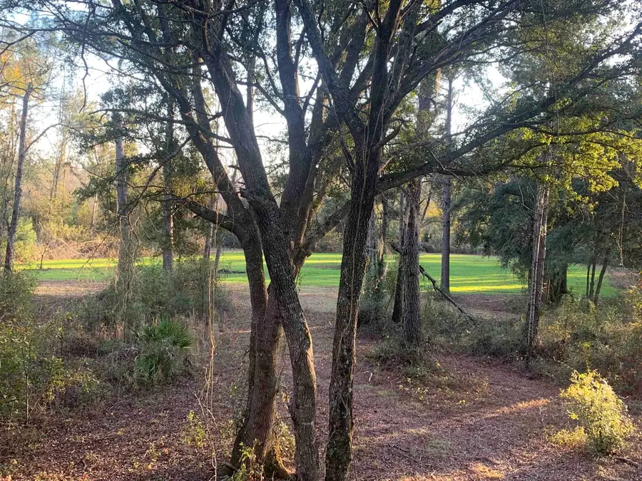 1701 SW Moseley Hall Road, Madison, FL 32340 - #3