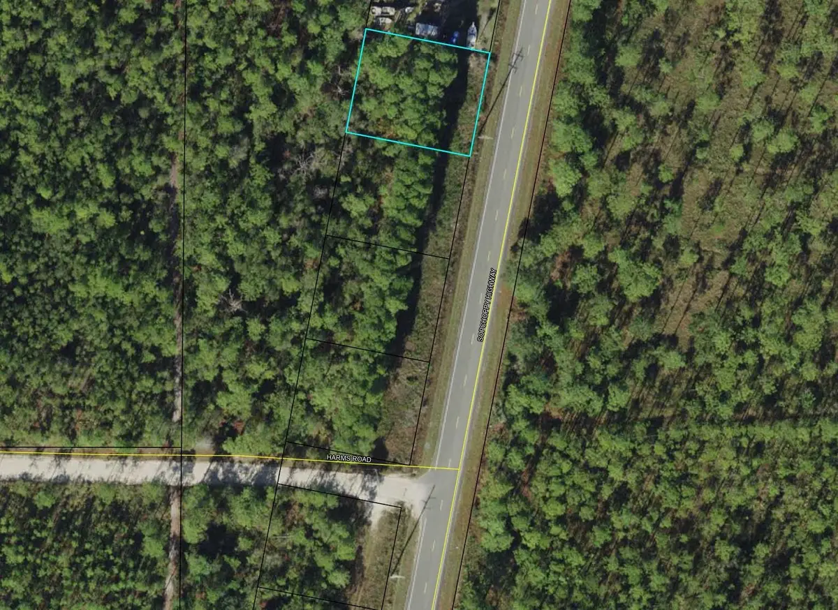 XXXX Sopchoppy Highway, Sopchoppy, FL 32358 - #1