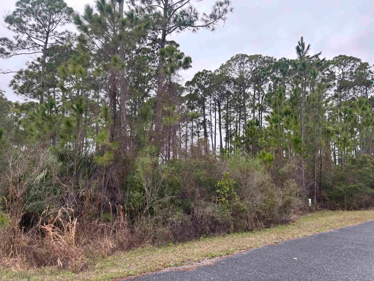 Lot 42 Wilderness Way, Panacea, FL 32346 - #1