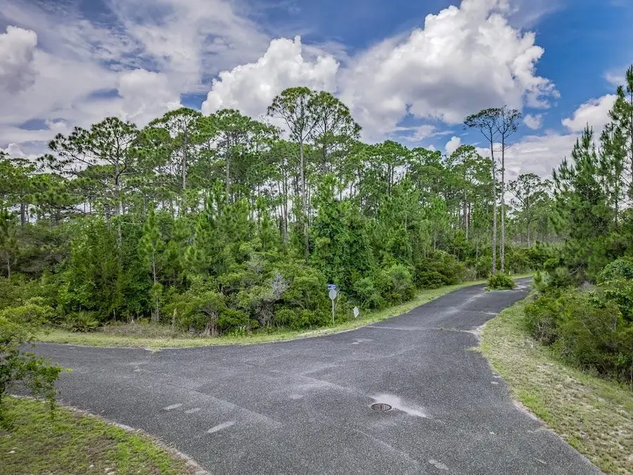 Lot 42 Wilderness Way, Panacea, FL 32346 - #3
