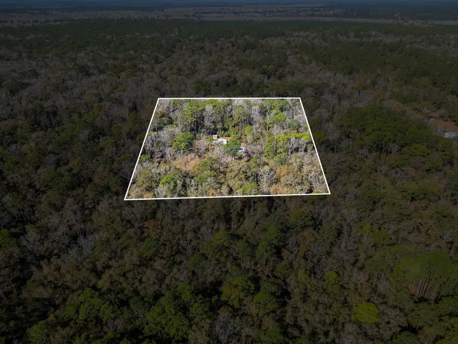 88 Canopy Lane, Crawfordville, FL 32327 - #2