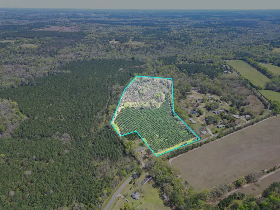 XXX Thigpen Road, Quincy, FL 32351 - #2