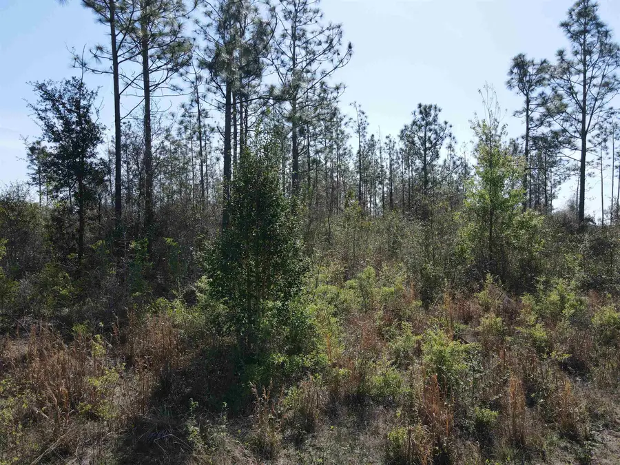 SE Colonial Way, Lee, FL 32059 - #3