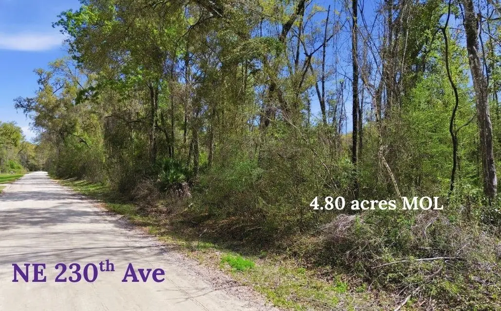 TBD NE 230th Avenue, Old Town, FL 32680 - #1