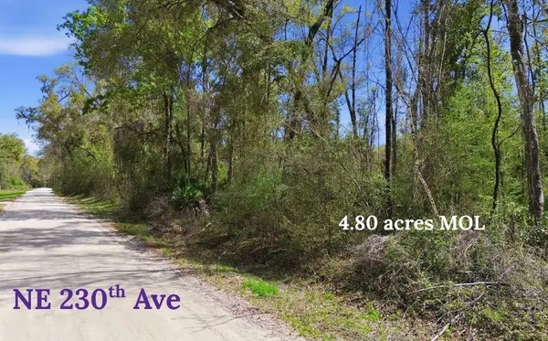 TBD NE 230th Avenue, Other Florida, FL 32680